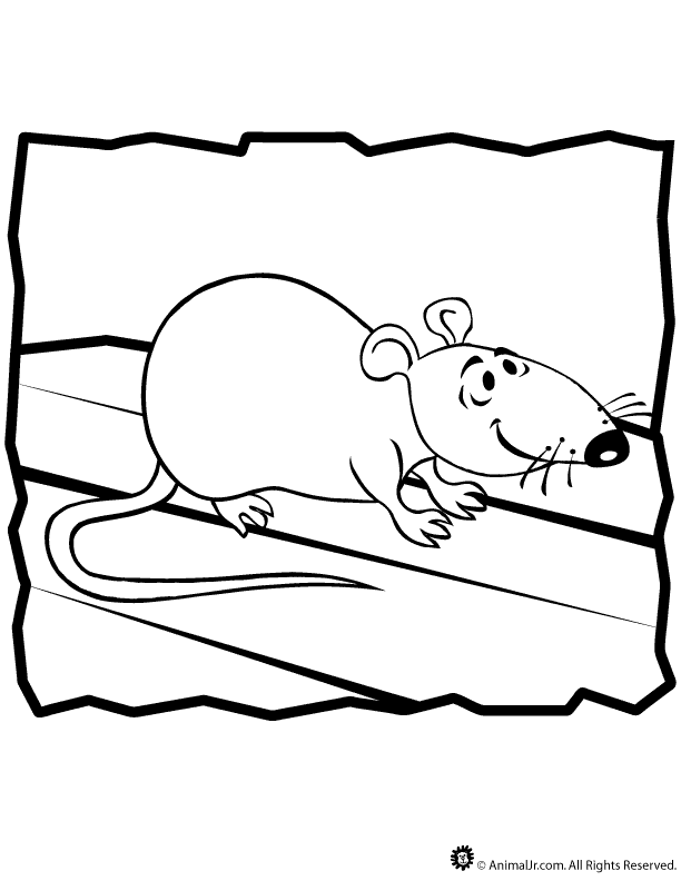 Dessin #13670 - Coloriage rat à imprimer et colorier
