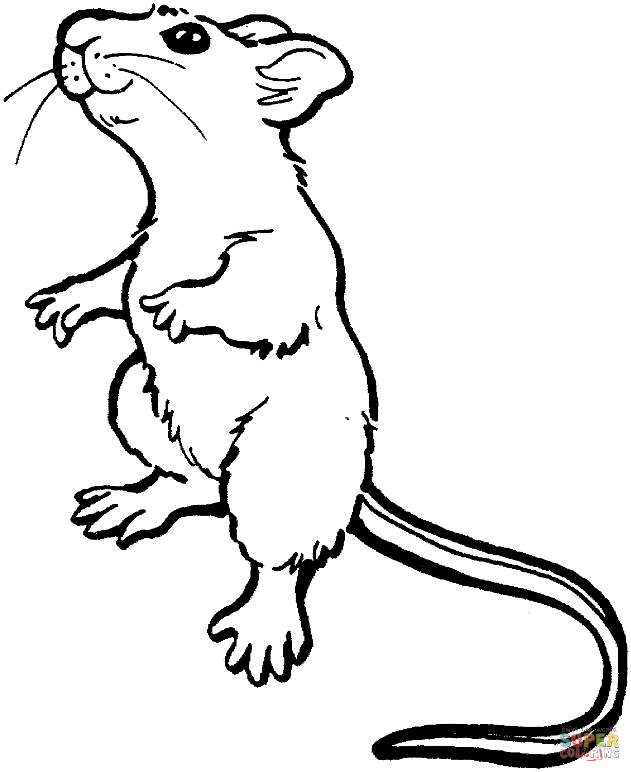 Dessin #13672 - coloriage gratuit de rat à imprimer
