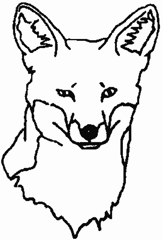 Dessin #13689 - dessin de renard