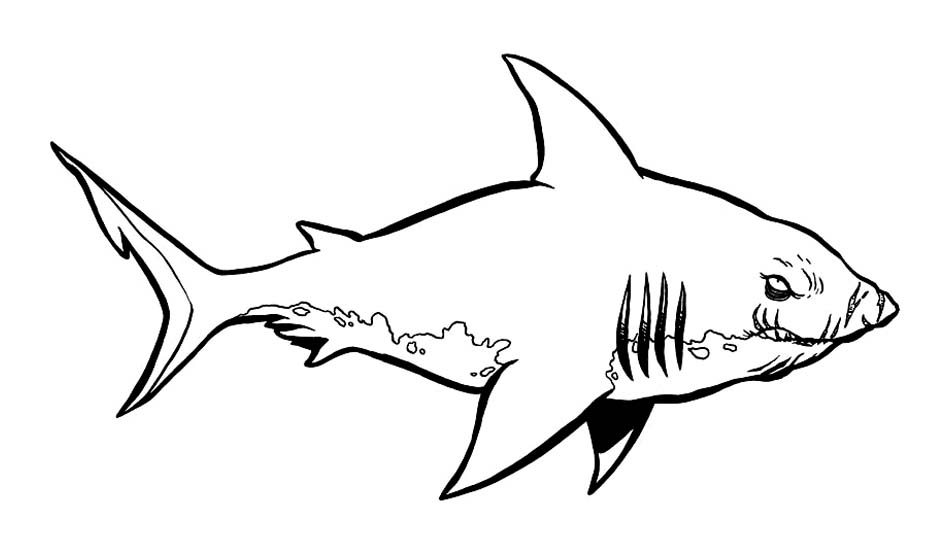 Dessin #13712 - Une belle image de requin à colorier et imprimer - Pour enfants