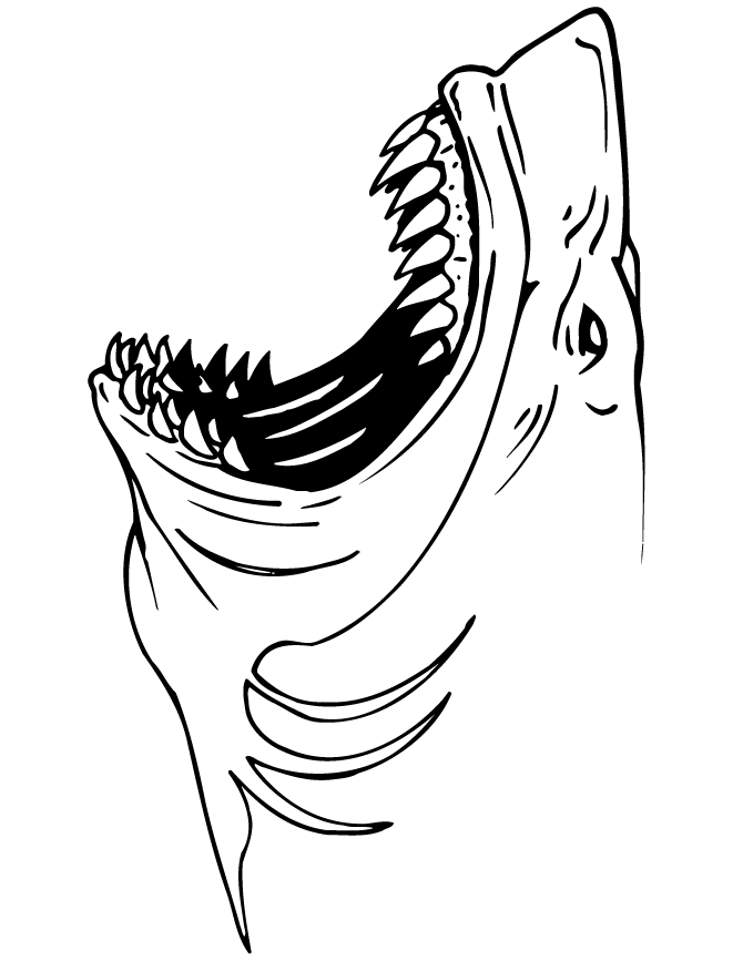 Dessin #13729 - coloriage gratuit de requin à imprimer