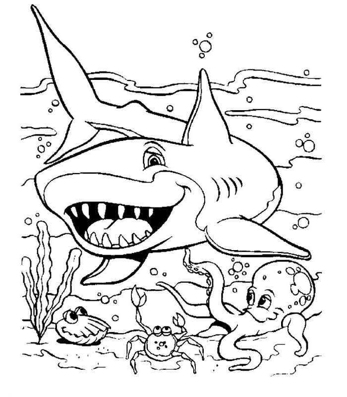 Dessin #13733 - coloriage de requin a imprimer