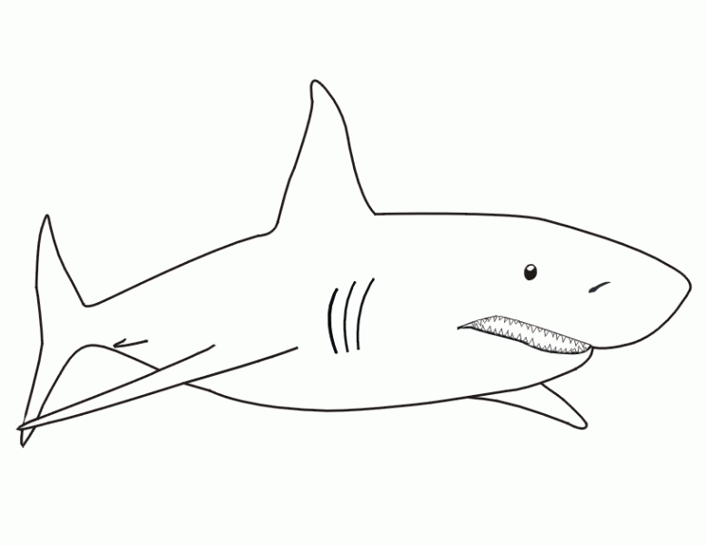 Dessin #13740 - coloriage gratuit de requin à imprimer