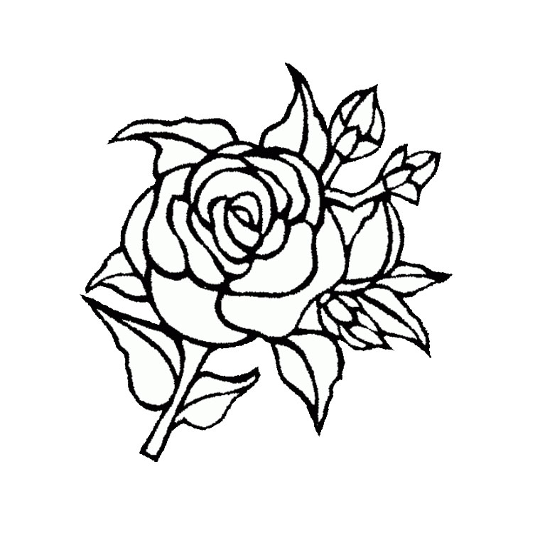 imprimer le coloriage rose fleur pour imprimer le coloriage rose fleur