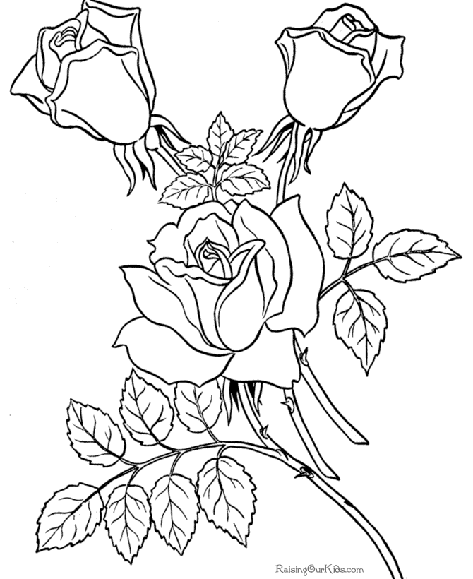 dessins gratuit à colorier s de roses 
