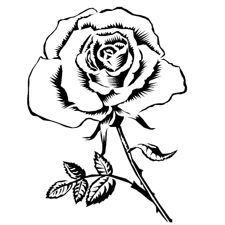 imprimer le coloriage une rose pour imprimer le coloriage une rose