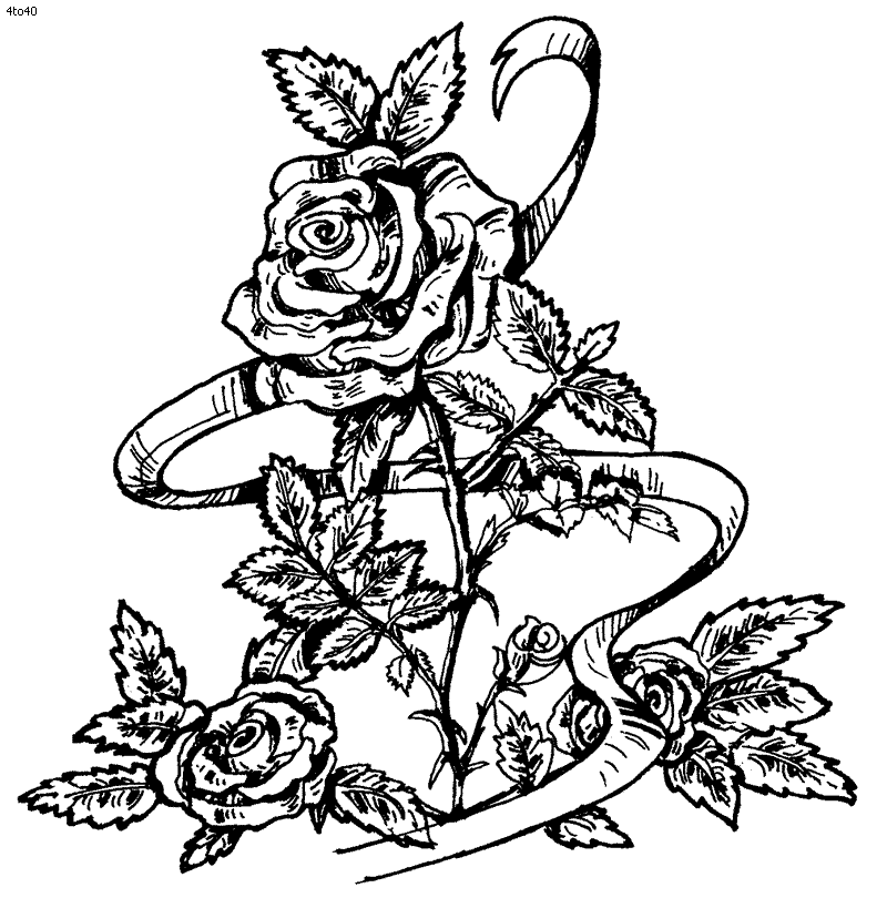 rose coloriage book, red rose dessins à colorier, red rose top coloriage