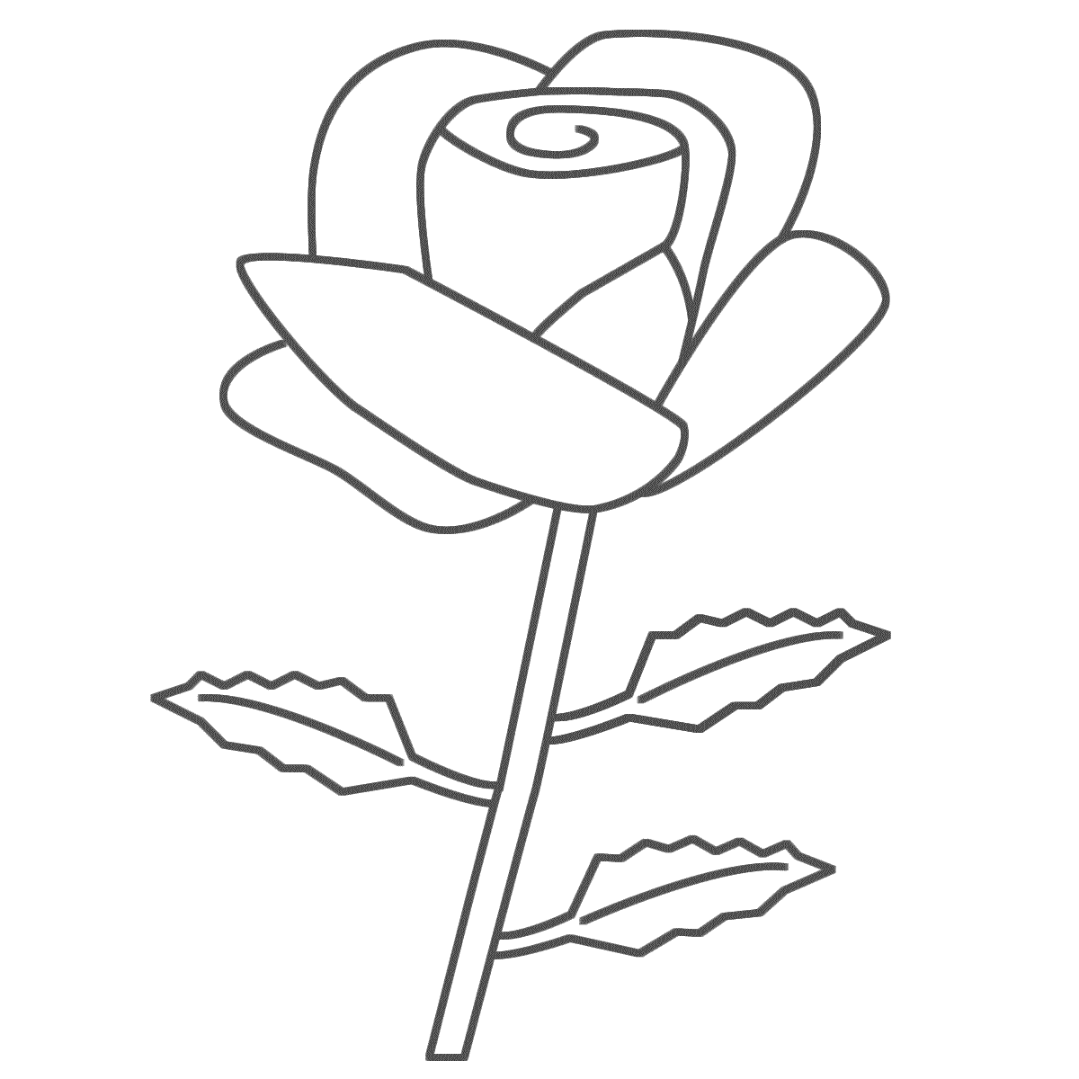 roses coloriage pages dessin gratuit à colorier site