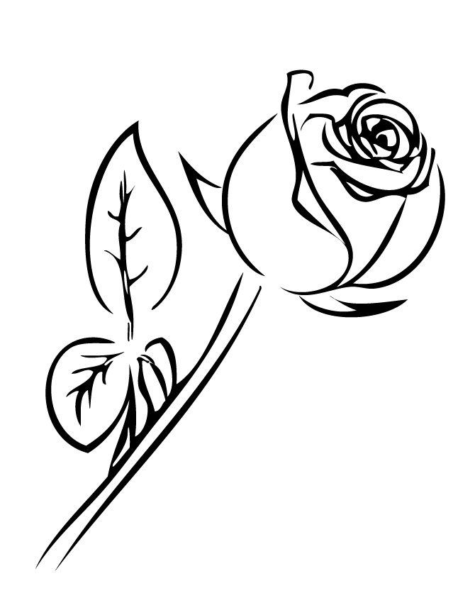 single rose with leaves dessin à colorier 