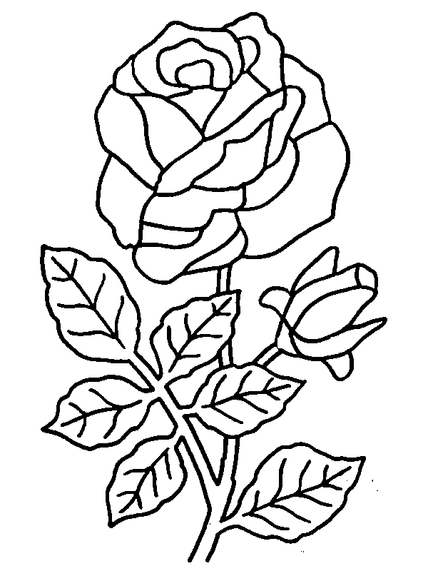 dessins à colorier de roses dessins à colorier a imprimer