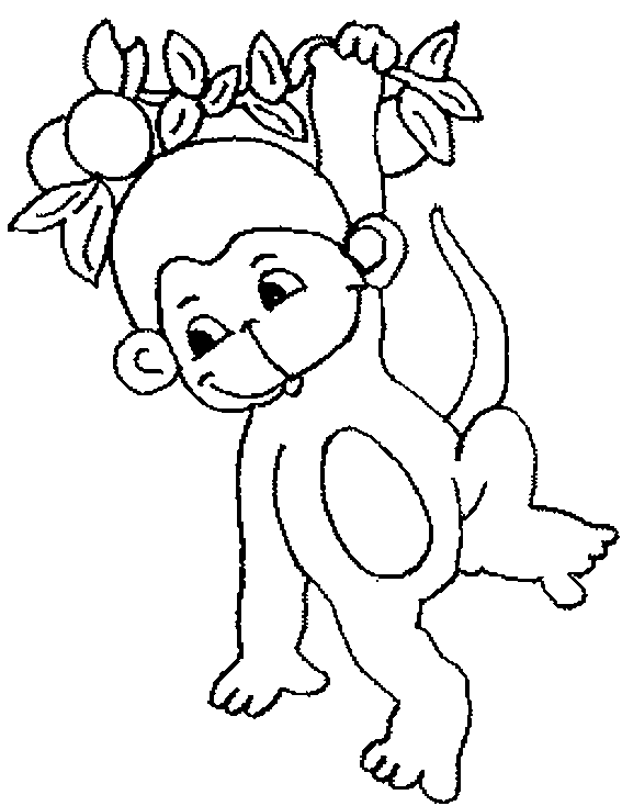 Dessin #13759 - dessin de singe