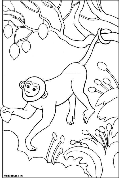 Dessin #13772 - Coloriage de singe gratuit