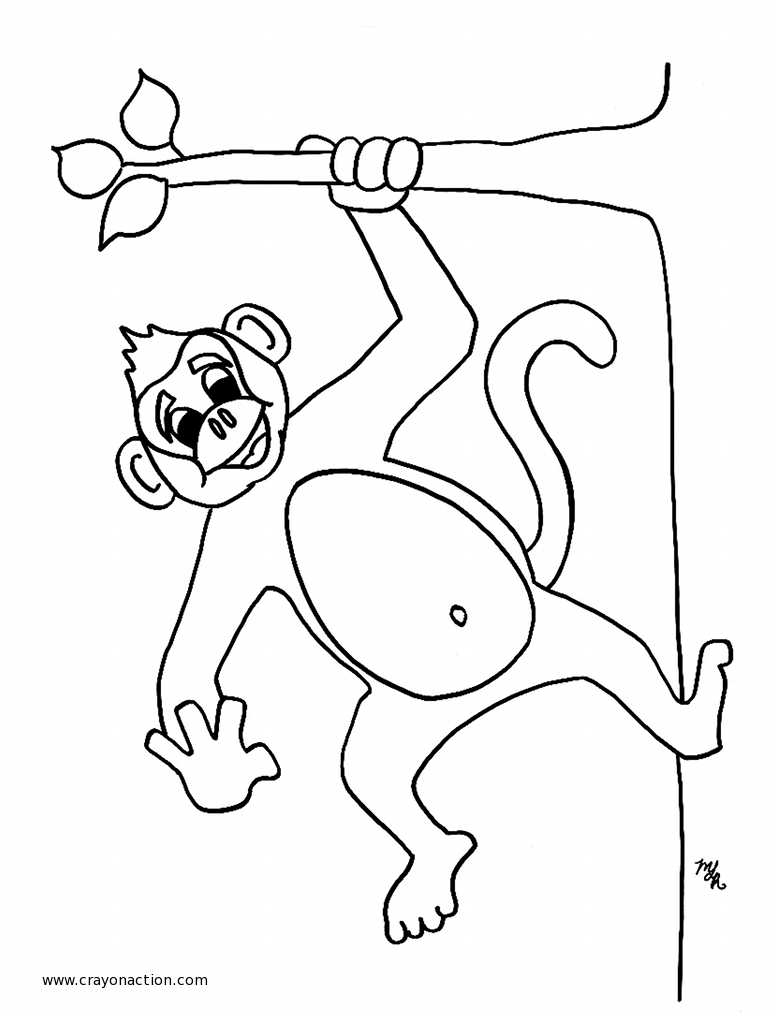 Dessin #13774 - coloriage gratuit de singe à imprimer