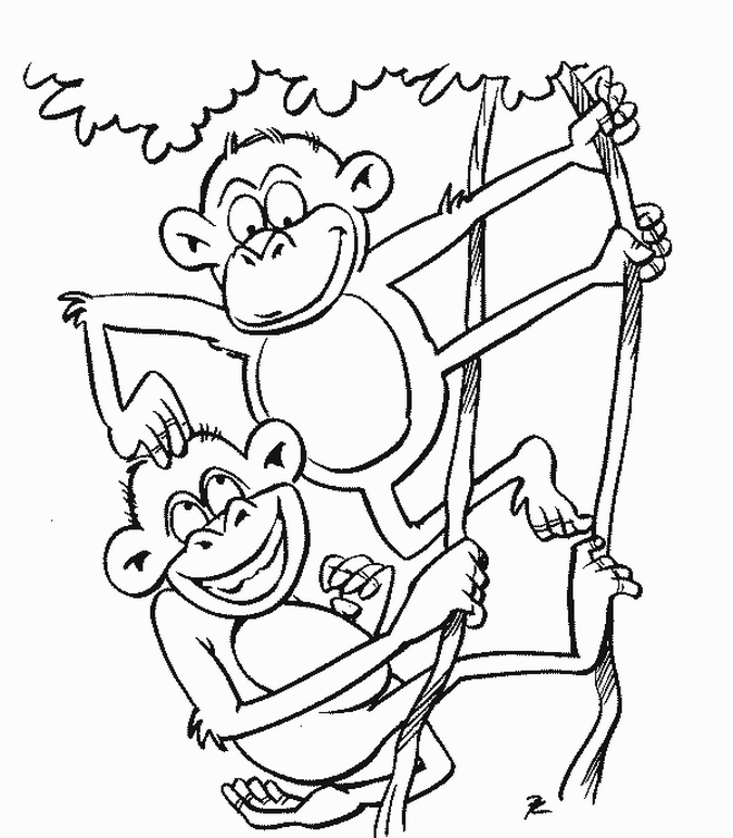 Dessin #13786 - dessin de singe a colorier