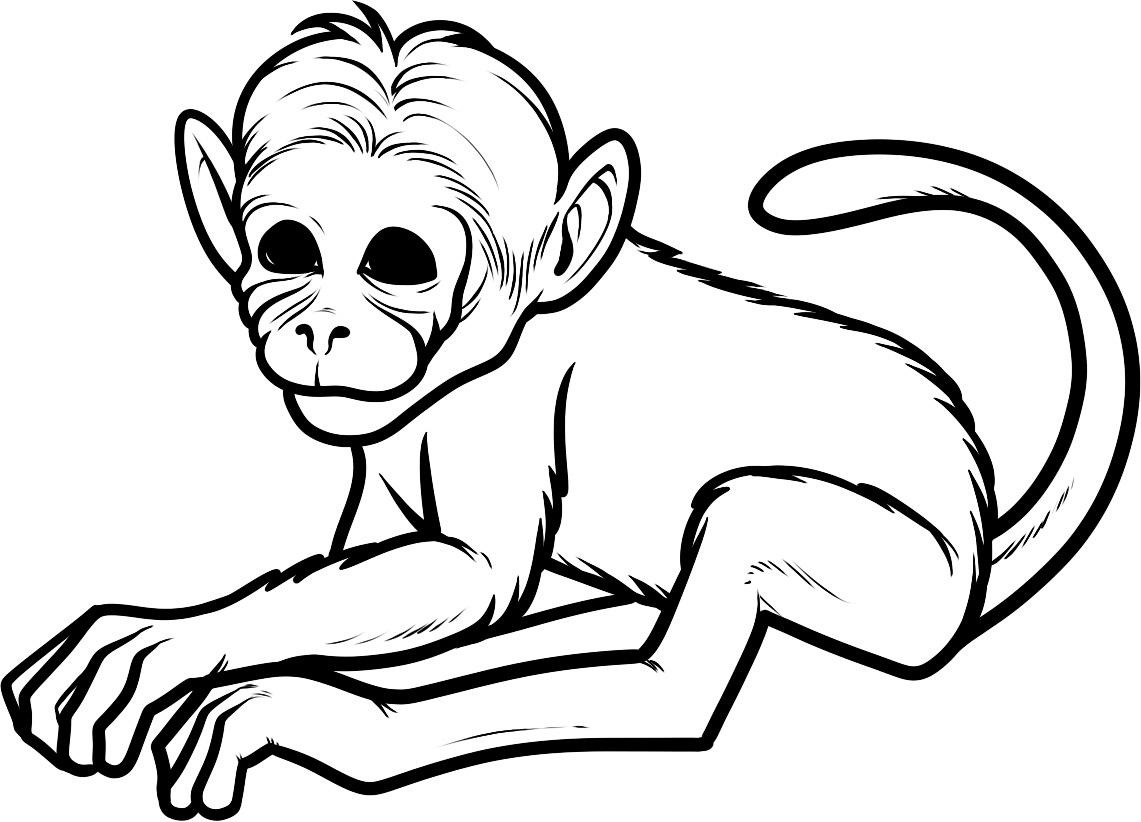 Dessin #13790 - dessin de singe a imprimer
