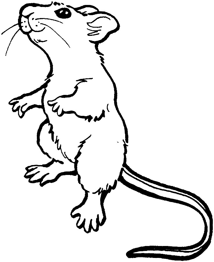 Dessin #13796 - dessin de souris a colorier