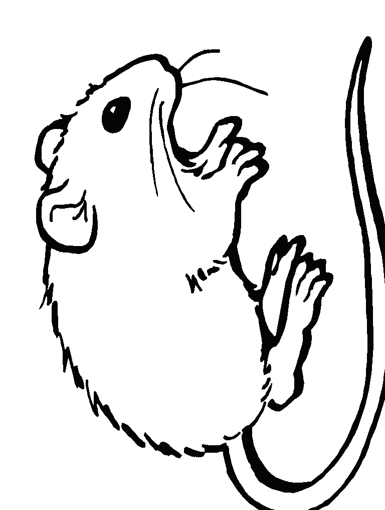 Dessin #13804 - dessin de souris gratuit