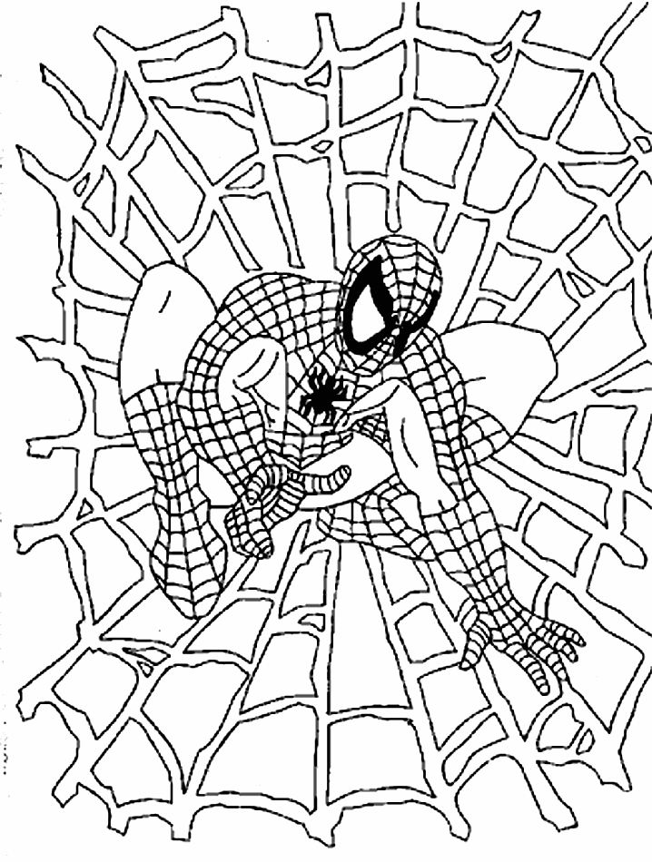 coloriage spiderman dans la toile et dessin à colorier spiderman