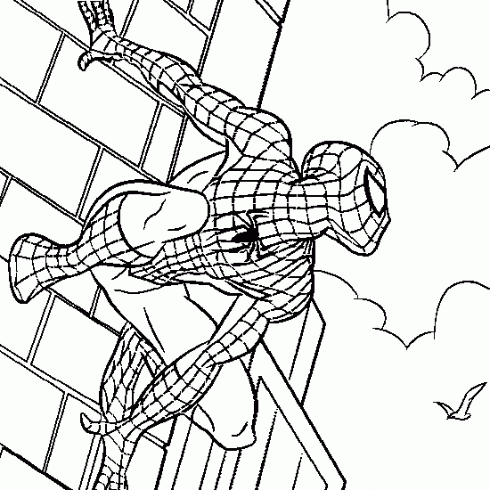 dessin de spiderman qui surveille la ville coloriages de spiderman