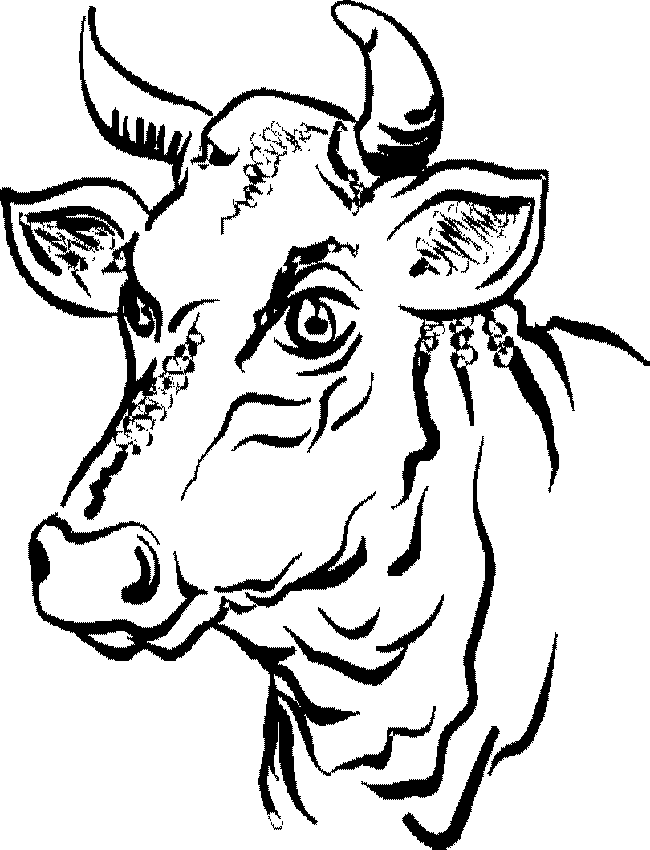 Dessin #13823 - Dessin gratuit taureau a imprimer