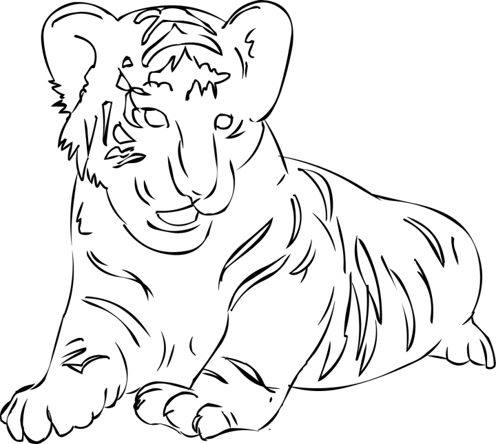 Coloriage tigre a colorier