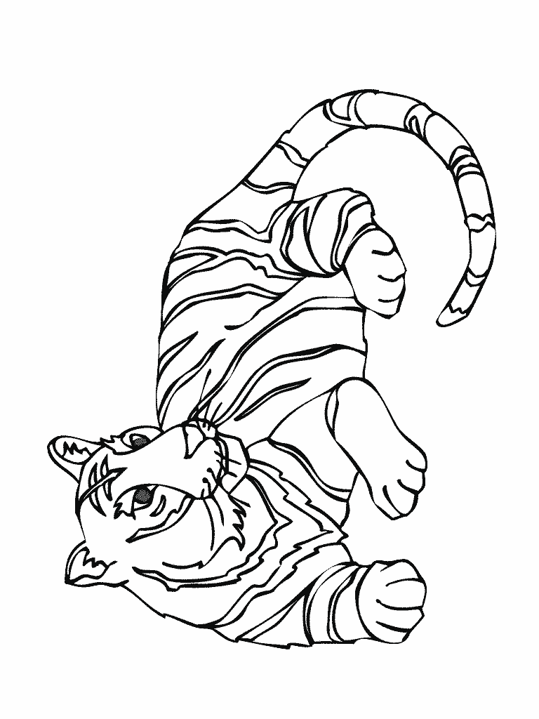 Coloriage gratuit de tigre à imprimer