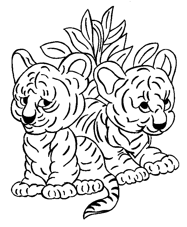 Coloriage de tigre a imprimer