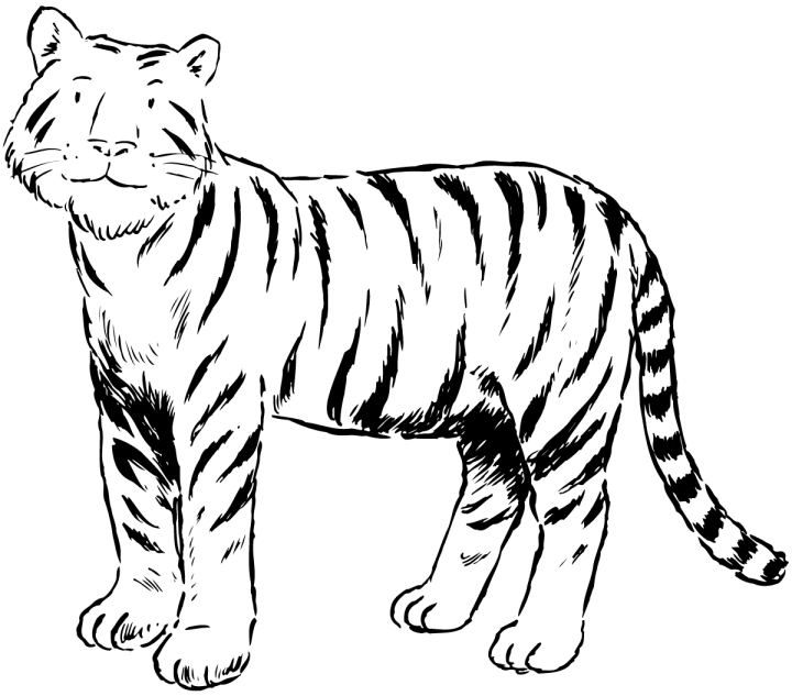 Activité de coloriage tigre à colorier