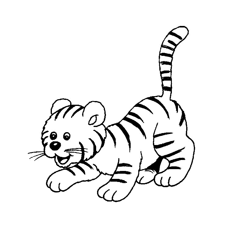 Image de tigre a colorier