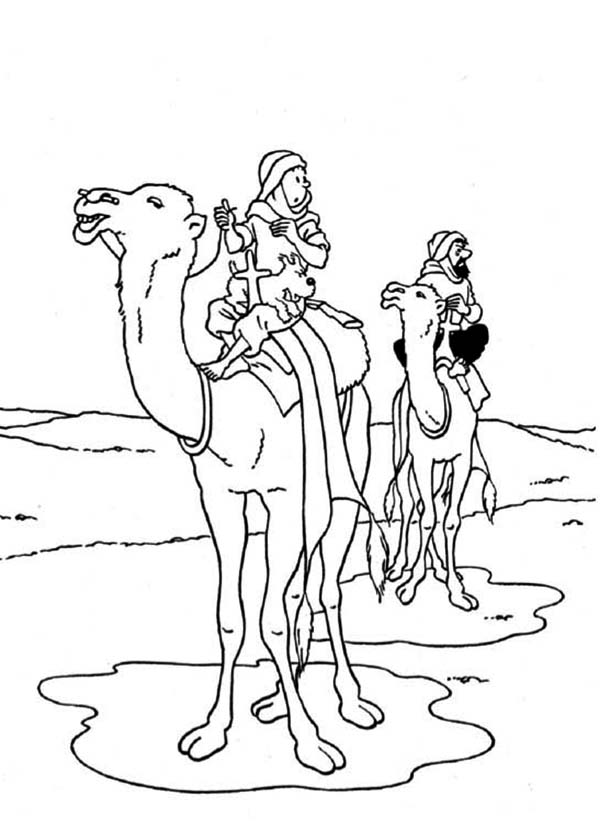 tintin, tintin ride camel in the adventures of tintin dessin à colorier