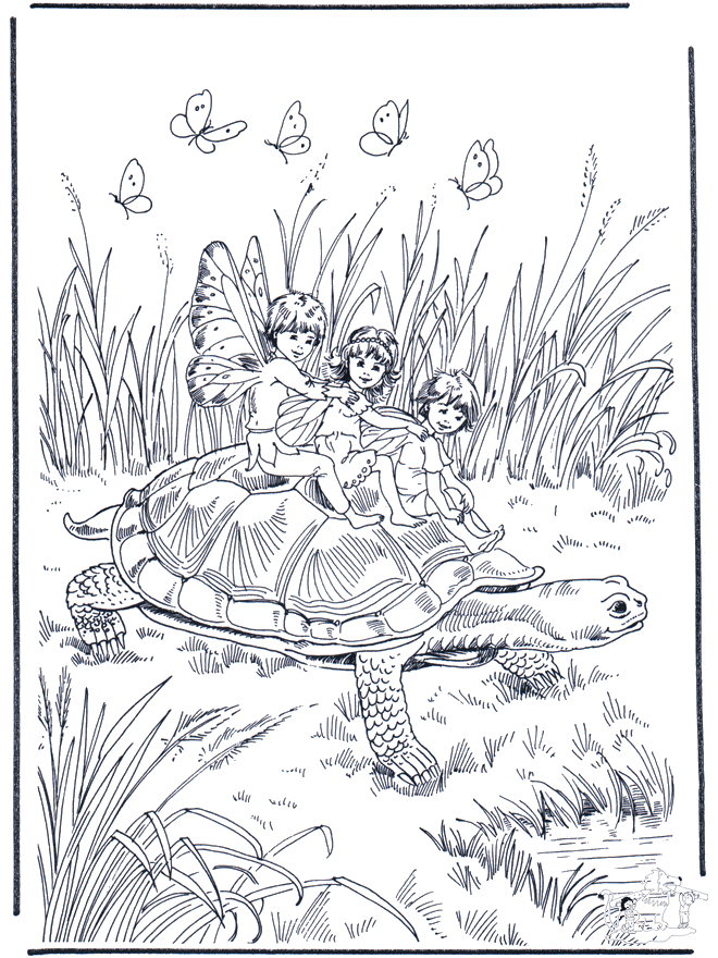 Image de tortue a imprimer et colorier