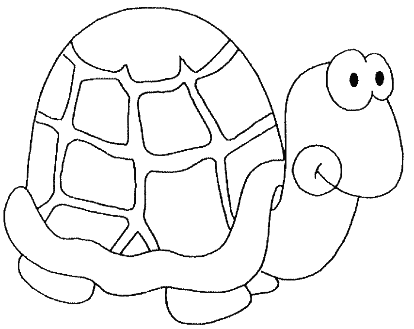 Dessin gratuit de tortue a imprimer