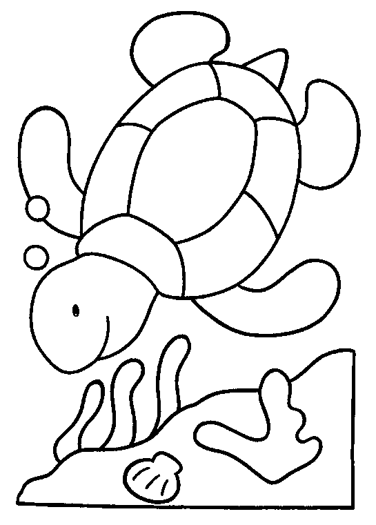 lesbaleines.net coin enfants coloriages Dessin de tortue gratuit
