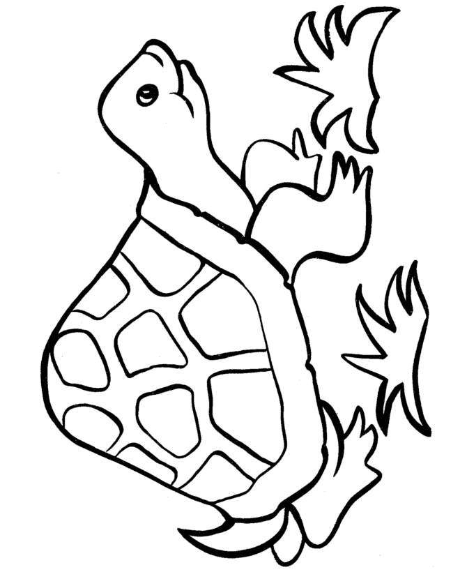 easy shapes dessins à colorier gratuit à imprimer happy tortue easy coloriage Image de tortue a colorier