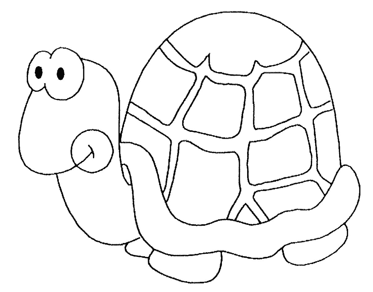 Coloriage de tortue imprimer et colorier