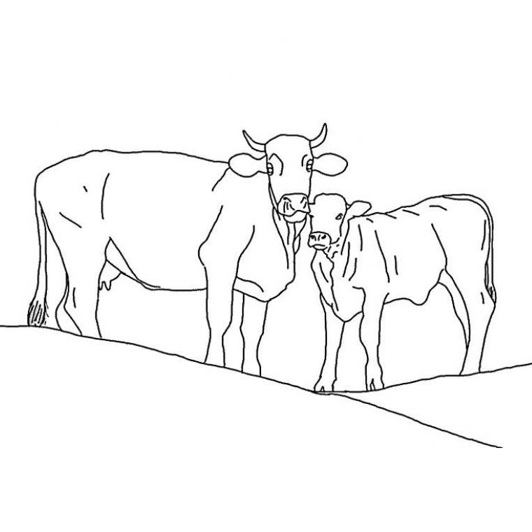 Dessin #13846 - Jeux de coloriage vache à imprimer