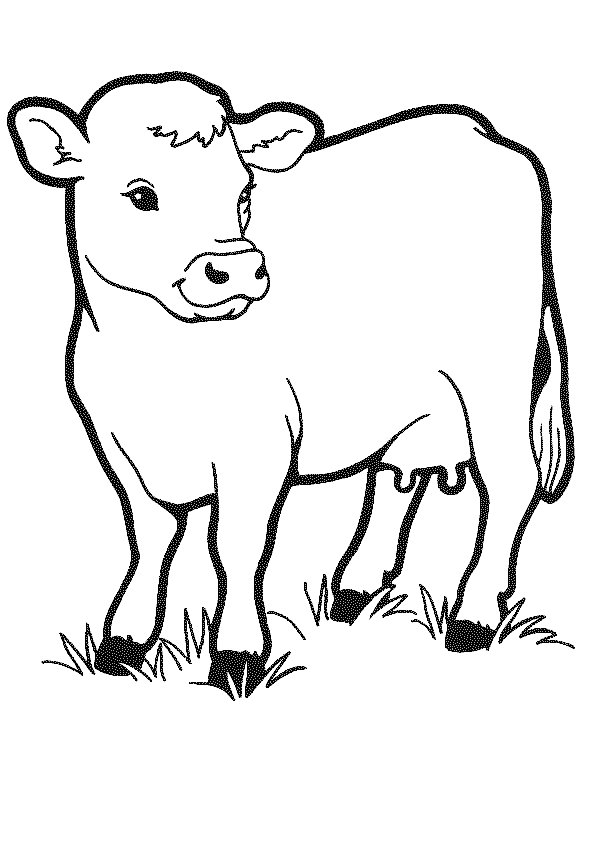 Dessin #13851 - un beau dessin de vache a imprimer et colorier
