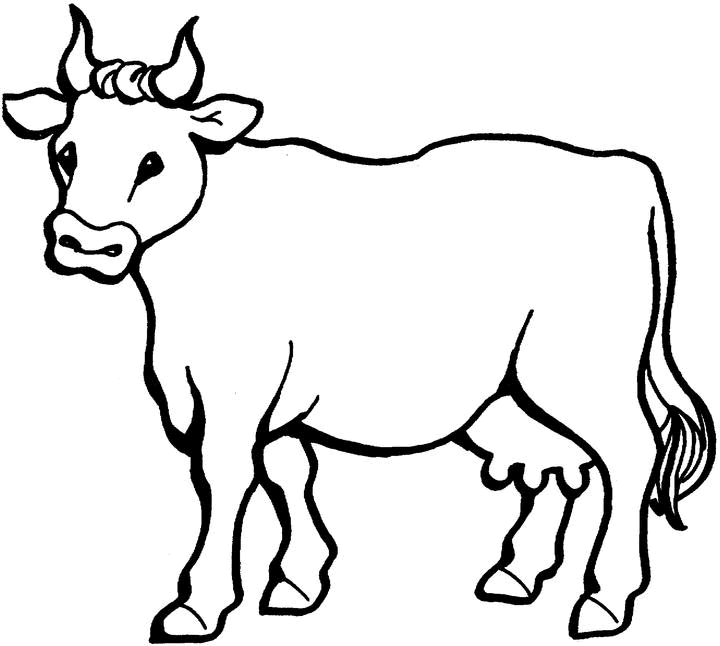 Dessin #13861 - dessin gratuit de vache a colorier