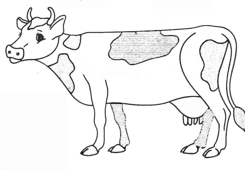 Dessin #13862 - dessin de vache