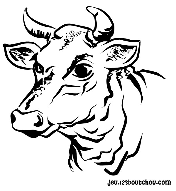 Dessin #13863 - coloriage de vache amusant gratuit