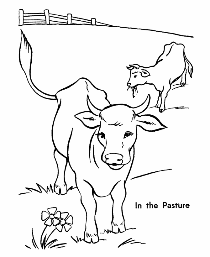 Dessin #13868 - un beau dessin de vache a colorier