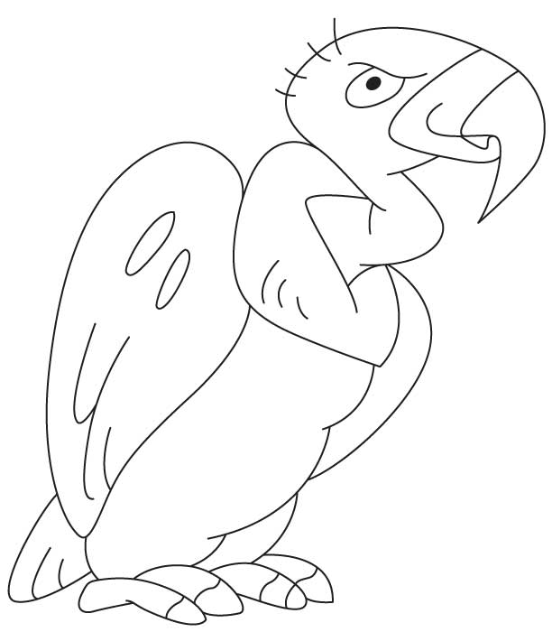 Dessin #13884 - Dessin de vautour à colorier