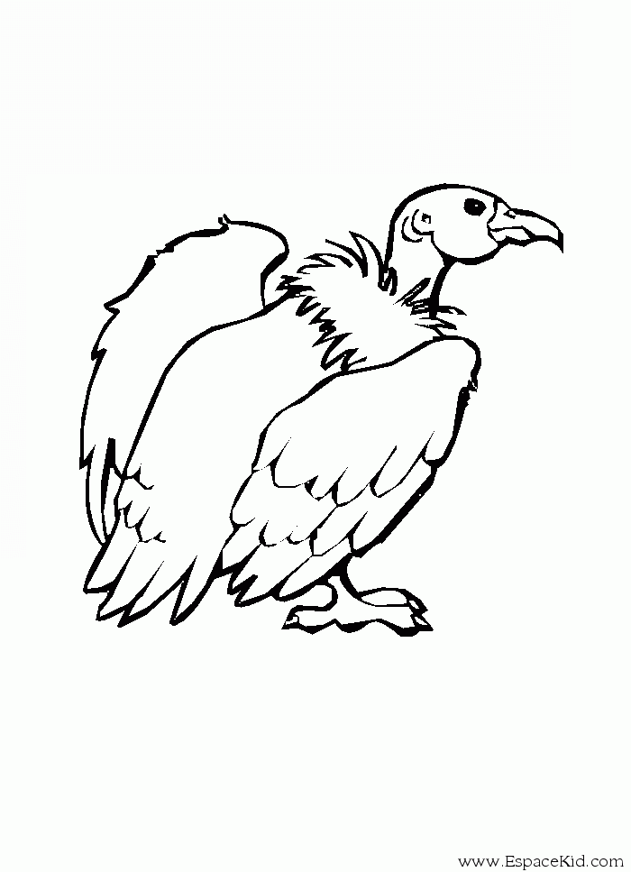Dessin #13886 - jeux de coloriage vautour a colorier