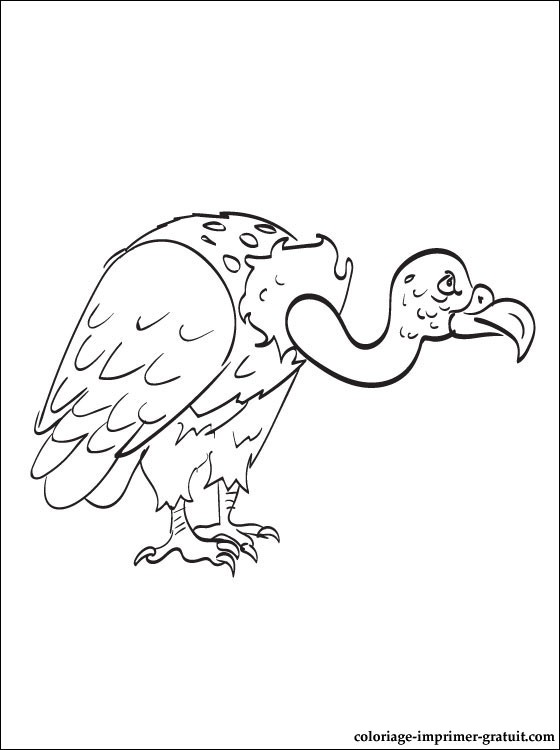 Dessin #13889 - Coloriage vautour à imprimer