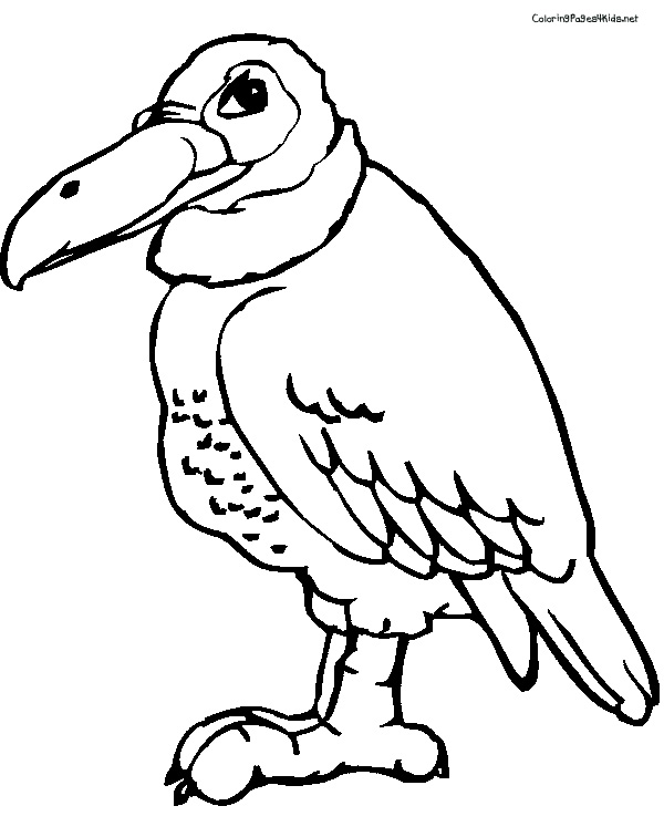 Dessin #13891 - dessin de vautour a colorier