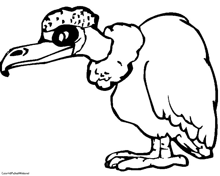 Dessin #13894 - Dessin gratuit de vautour a colorier