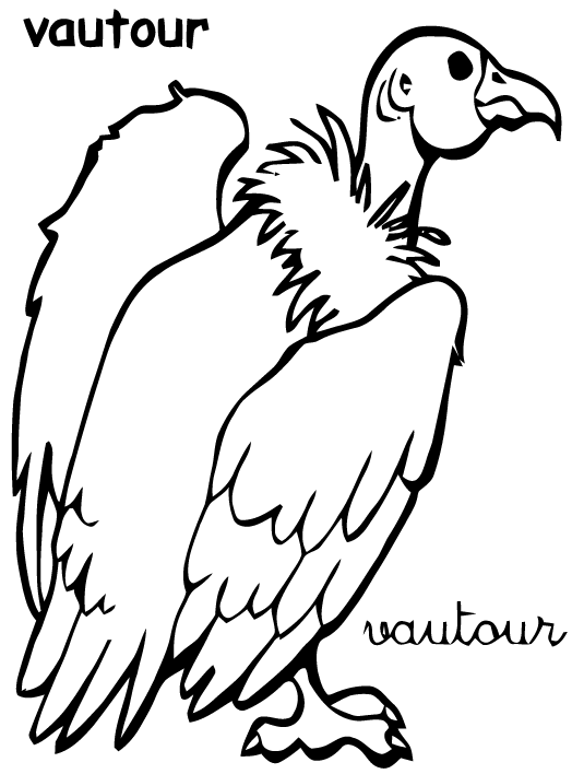Dessin #13901 - dessin gratuit vautour a imprimer et colorier