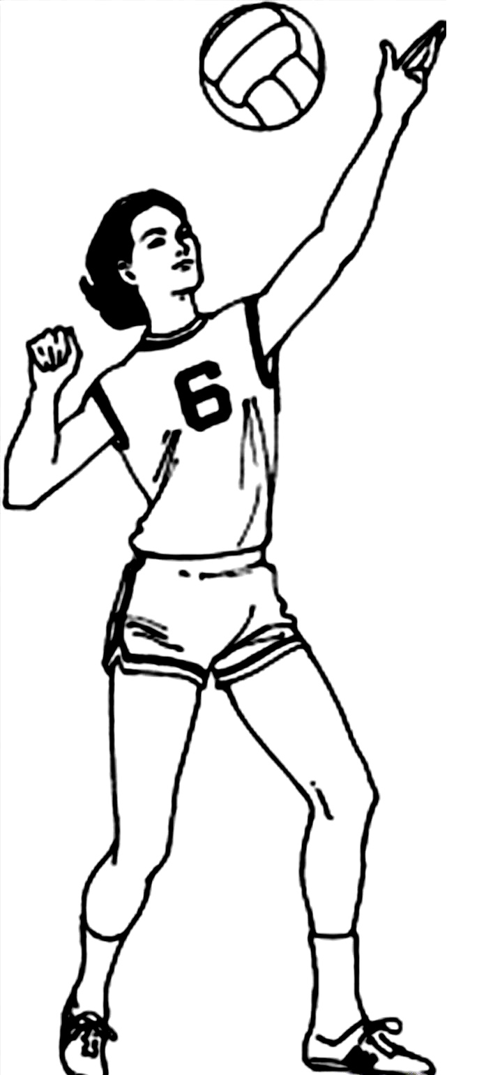 Image #17645 - Coloriage volleyball gratuit