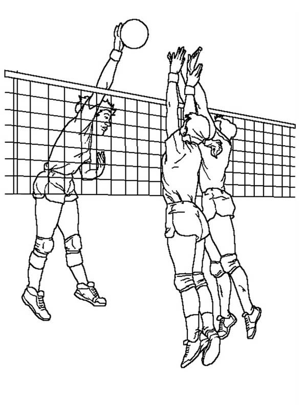 Image #17686 - Coloriage volleyball gratuit