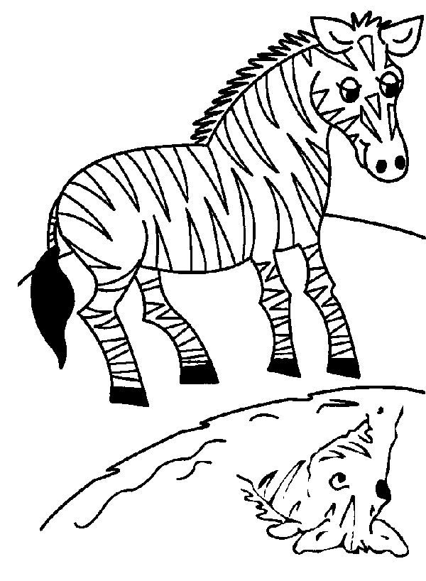 Dessin #13909 - Coloriage de zebre gratuit à imprimer